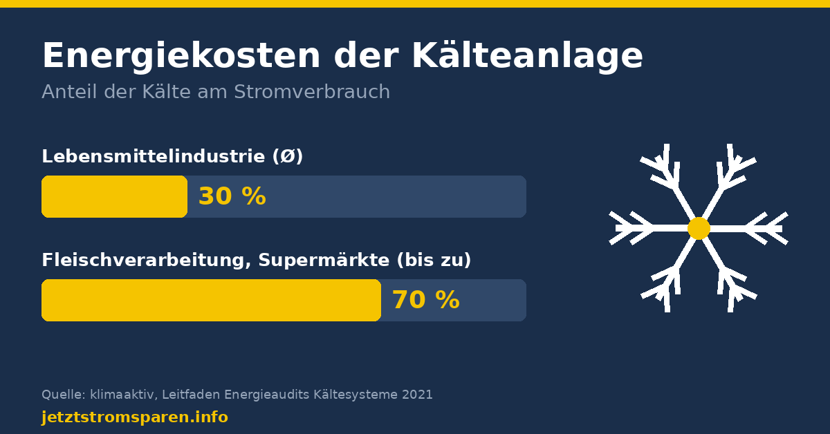 Anteil der Kälte am Stromverbrauch: Lebensmittelindustrie im Schnitt 30 Prozent, Fleischverarbeitung und Supermärkte bis zu 70 Prozent